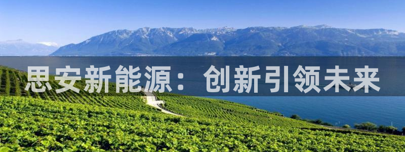 门徒娱乐下载版权所有:思安新能源:创新引领未来