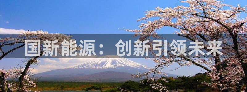 门徒娱乐上7O667:国新能源:创新引领未来