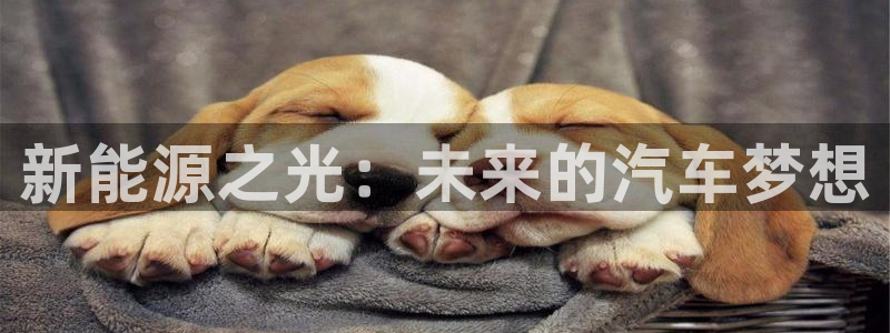 门徒娱乐是干啥的呀知乎:新能源之光:未来的汽车梦想