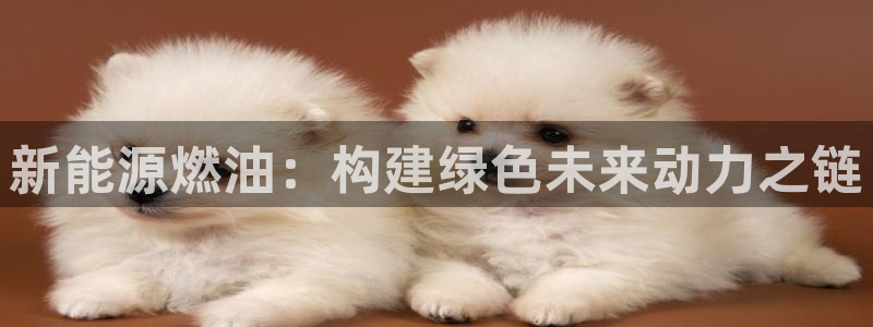 门徒娱乐线路图片大全集