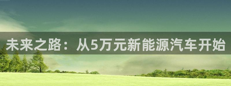 娱乐门徒 白云生：未来之路：从5万元新能