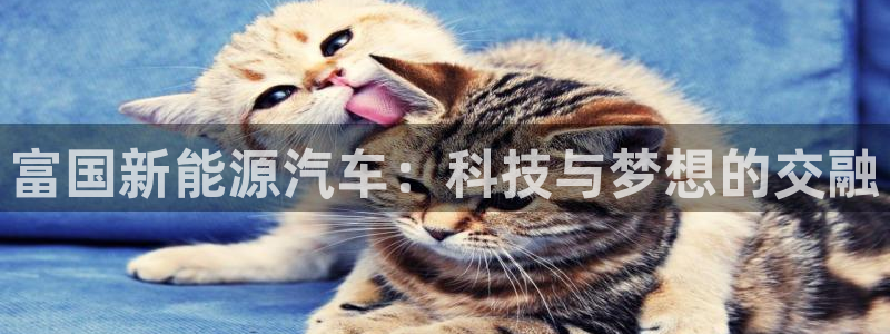 门徒娱乐平台可靠吗知乎:富国新能源汽车:科技与梦想的交融