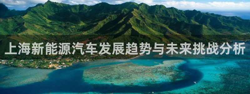 门徒娱乐开奖平台下载:上海新能源汽车发展趋势与未来挑战分析