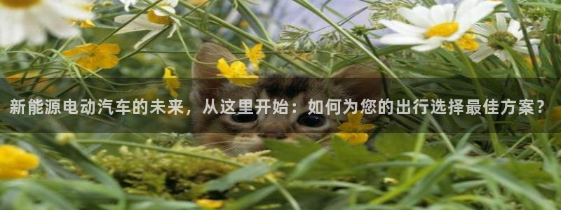 门徒娱乐注册研判官333OO:新能源电动汽车的未来,从这里开