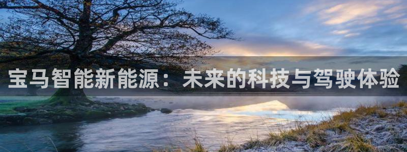 门徒娱乐平台下载:宝马智能新能源:未来的科技与驾驶体验