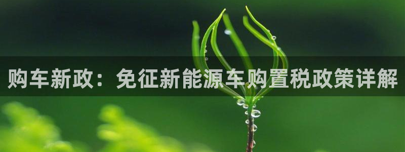 门徒娱乐软件有哪些平台