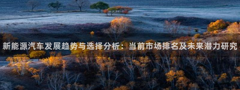 门徒白总娱乐脱口秀全场:新能源汽车发展趋势与选择分析:当前市