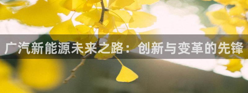 门徒娱乐怎么注册公司的：广汽新能源未来之